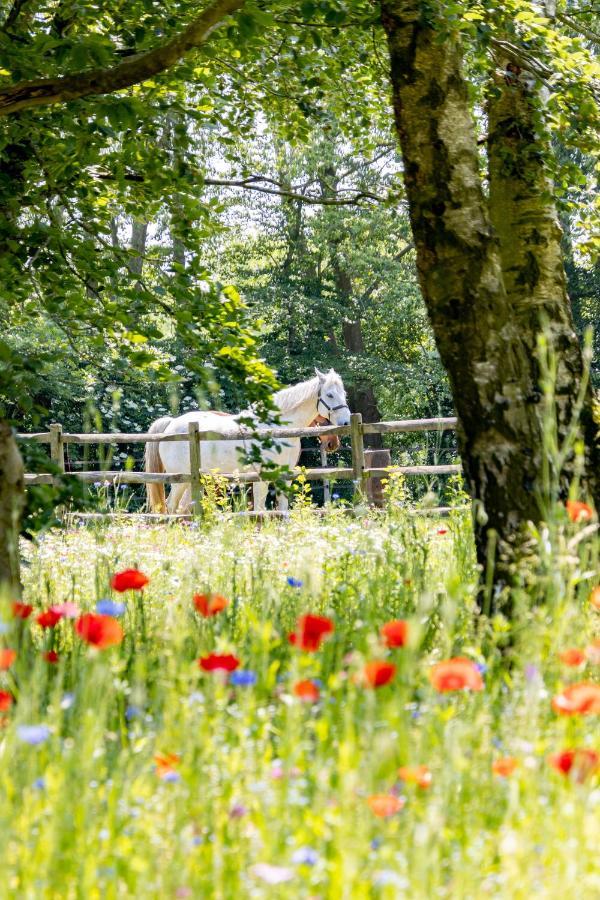 Equilodge 'T Blommeke - Reconnect With Nature Bruges Exterior foto