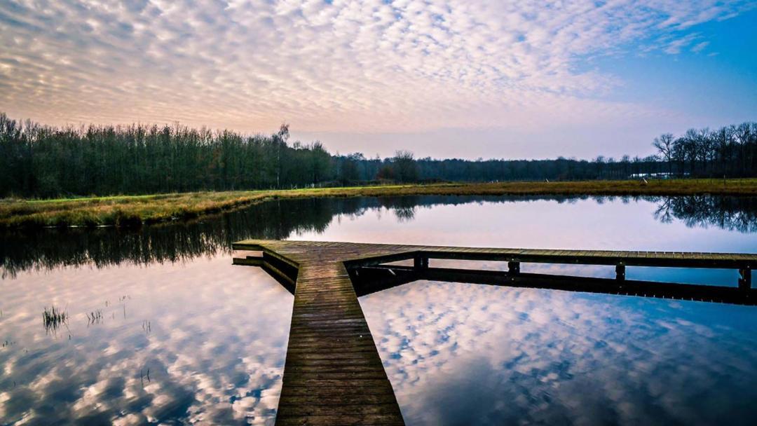 Equilodge 'T Blommeke - Reconnect With Nature Bruges Exterior foto